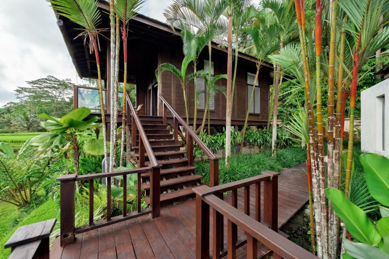 Kembang Bali * Ubud (Bali)